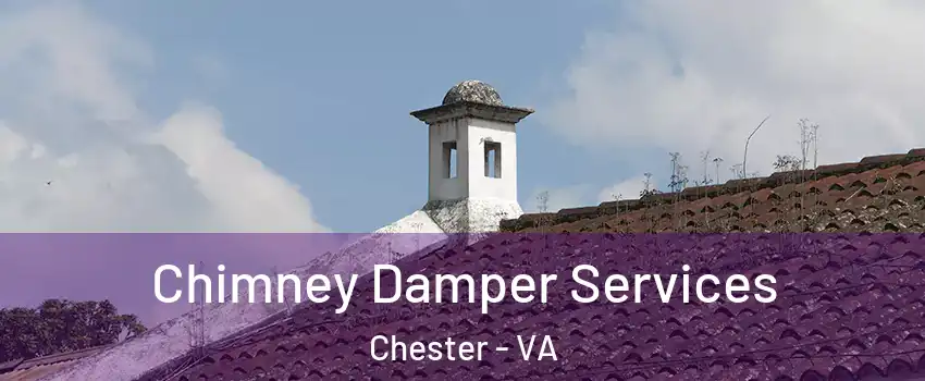  Chimney Damper Services Chester - VA
