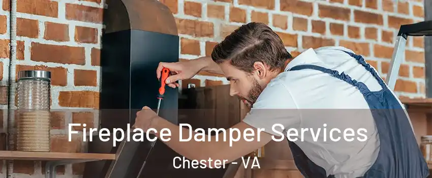  Fireplace Damper Services Chester - VA