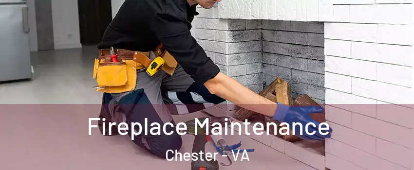  Fireplace Maintenance Chester - VA