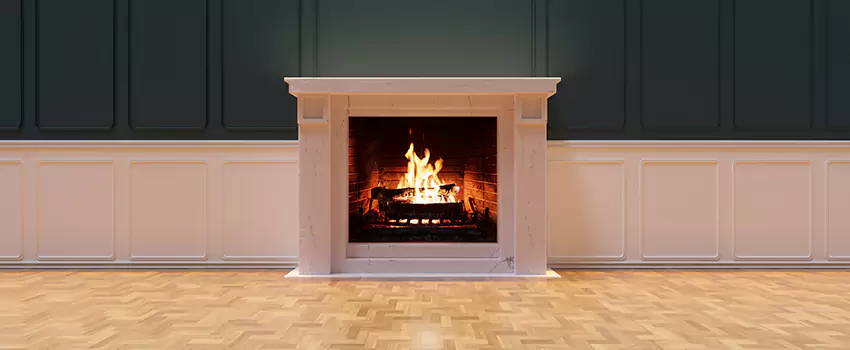 Napoleon Electric Fireplaces Inspection Service in Chester, Virginia