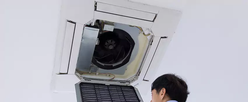 Benefits of Professional Air Duct Cleaning in Chester, Virginia