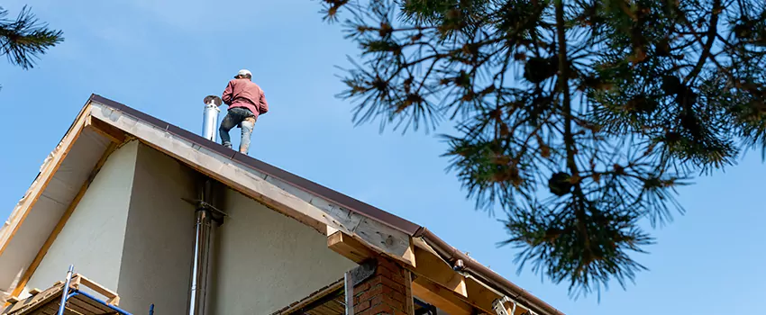 Birds Removal Contractors from Chimney in Chester, VA