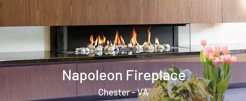  Napoleon Fireplace Chester - VA