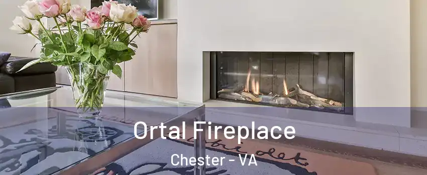 Ortal Fireplace Chester - VA